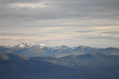 DSC_0103 (Large).JPG